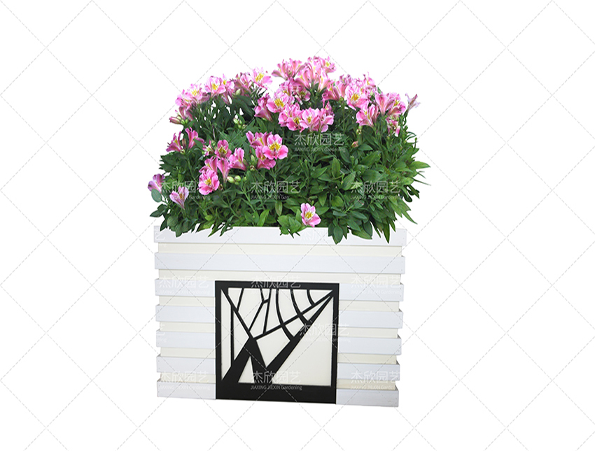 組合花箱中有哪些創(chuàng)意款式？