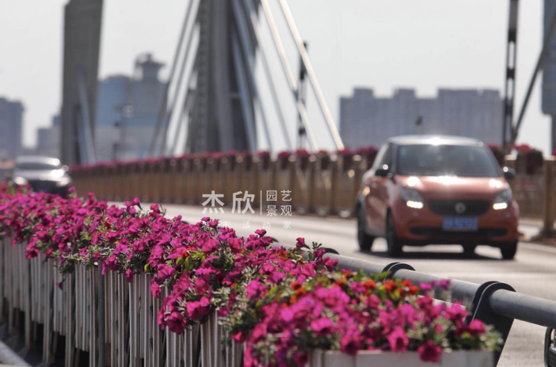 花箱尺寸如何確定？